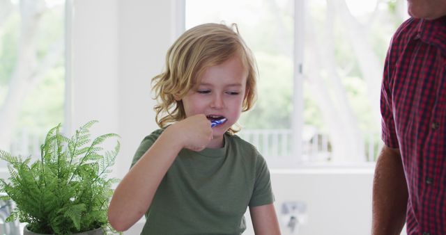 Young Child Brushing Teeth in Bathroom - Download Free Stock Images Pikwizard.com