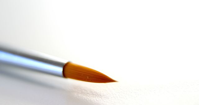 This image of a paintbrush tip on a white background can be used for creative and artistic projects, advertisements for art supplies, websites or blogs related to art and painting, and educational materials focusing on drawing and artistry.