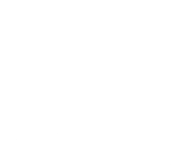 Transparent Silhouette of Male Boxer on Clear Background - Download Free Stock Videos Pikwizard.com