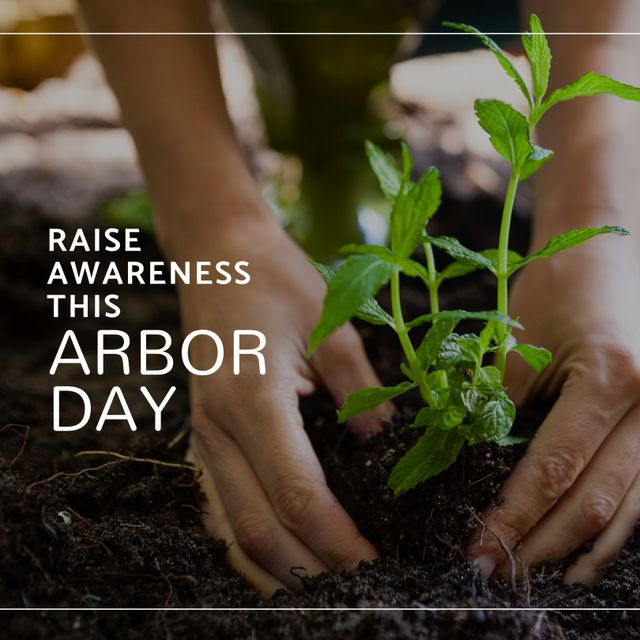 Caucasian Woman Planting Seedling for Arbor Day Awareness - Download Free Stock Templates Pikwizard.com