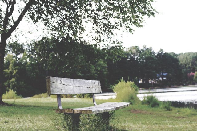 Empty wooden bench by lake offers tranquil setting perfect for themes of relaxation, peace, and solitude. Ideal for campaigns focused on mindfulness, nature retreats, mental wellness, or as background for inspirational quotes.