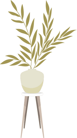Minimalist houseplant with olive green leaves on transparent background