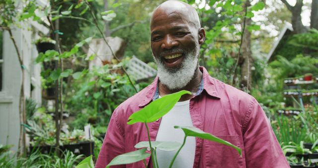 Elderly man with grey beard enjoying gardening in lush outdoor space - Download Free Stock Images Pikwizard.com