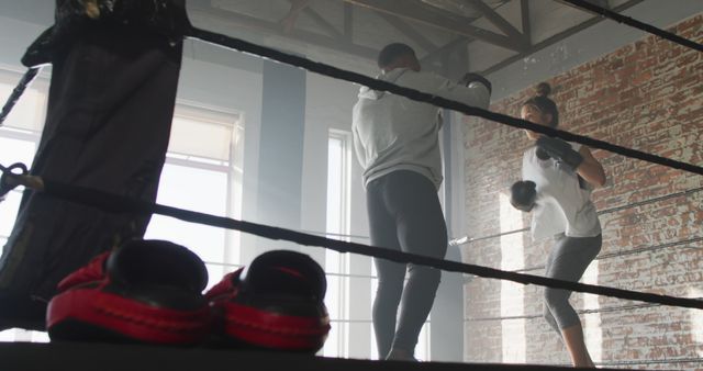 Image of fit diverse woman and man boxing at gym - Download Free Stock Photos Pikwizard.com