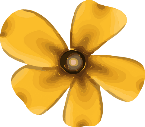 Amber yellow flower vector on transparent background