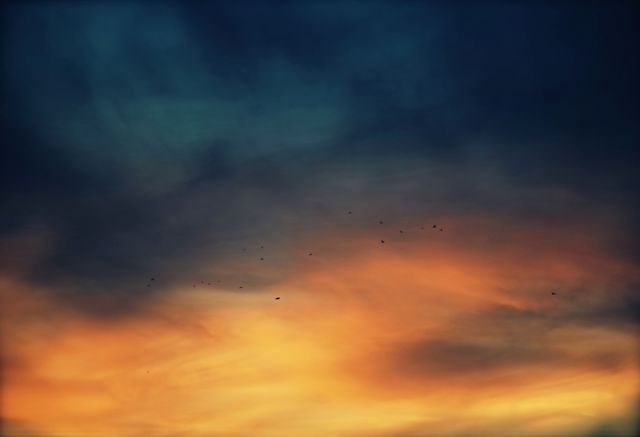 Colorful clouds fill the sky during a stunning sunset, showcasing a mix of orange and blue hues. Birds are seen flying far in the distance, adding a sense of movement to the tranquil scene. Perfect for backgrounds, nature-themed content, or calm atmosphere representations.