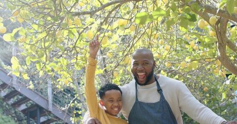 African american father and son harvesting lemons in sunlit backyard garden, smiling