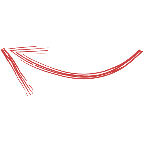 Red Curved Arrow on Transparent Background Pointing - Download Free Stock Videos Pikwizard.com