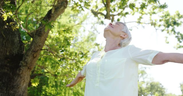 Senior Woman Enjoying Freedom and Fresh Air in Nature Park - Download Free Stock Images Pikwizard.com