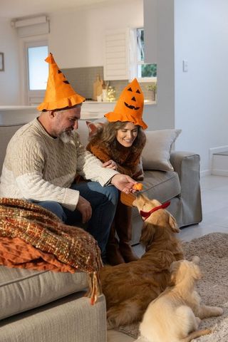 Mature couple wearing jack-o'-lantern cone hats feeding golden retrievers on cozy sofa