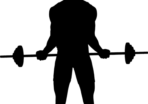 transparent silhouette of man lifting barbell in gym setting - Download Free Stock Videos Pikwizard.com