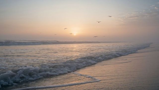 Pastel sunrise bathing tranquil shoreline with gentle waves, foam and flying gulls