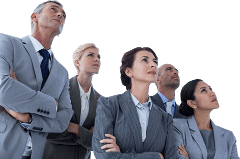 Business Team in Transparent Background Looking Upward - Download Free Stock Videos Pikwizard.com