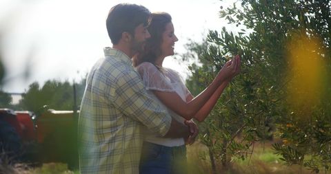 Couple Enjoying Romantic Olive Orchard Walk - Download Free Stock Images Pikwizard.com