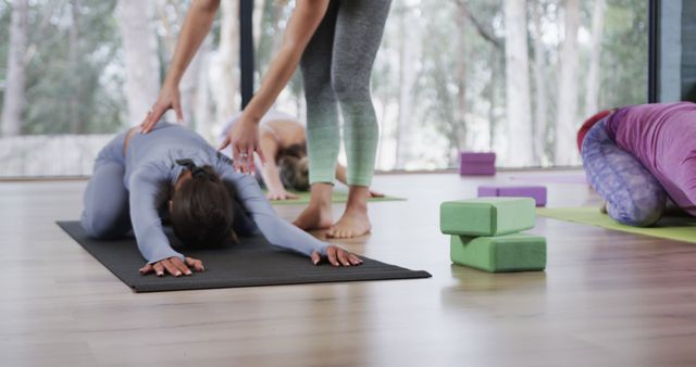 Instructor Helping Woman with Yoga Pose in Studio, Fitness and Wellness Concept - Download Free Stock Images Pikwizard.com