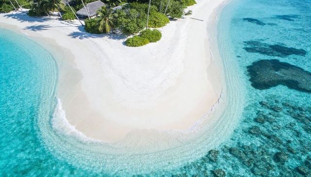 Turquoise crescent sandbar with palm trees and coral reef aerial view for travel