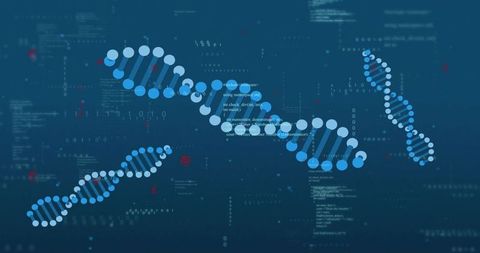 Digital DNA Helix Visualizing Genomic Data with Binary Code and Network Nodes