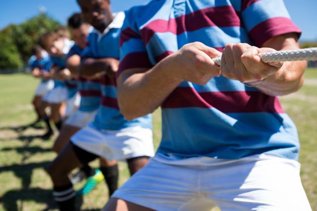 Midsection of rugby players playing tug of war - Download Free Stock Photos Pikwizard.com