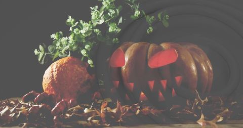 Spooky Halloween Pumpkin with Leaves and Greenery - Download Free Stock Images Pikwizard.com