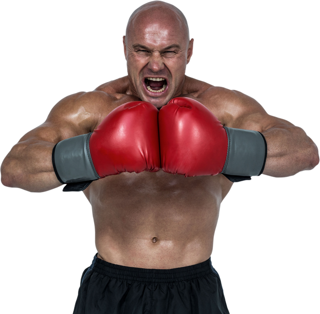 Aggressive Boxer Flexing Muscles with Transparent Background - Download Free Stock Videos Pikwizard.com