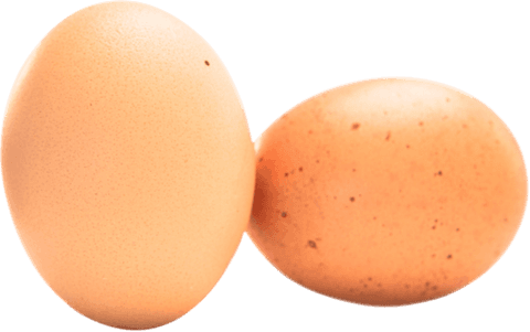 Close-up Transparent Brown Farm Fresh Eggs Isolated - Download Free Stock Videos Pikwizard.com