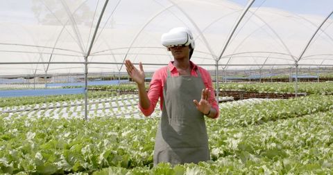 Farmer Using VR Headset in Hydroponic Farm Operations