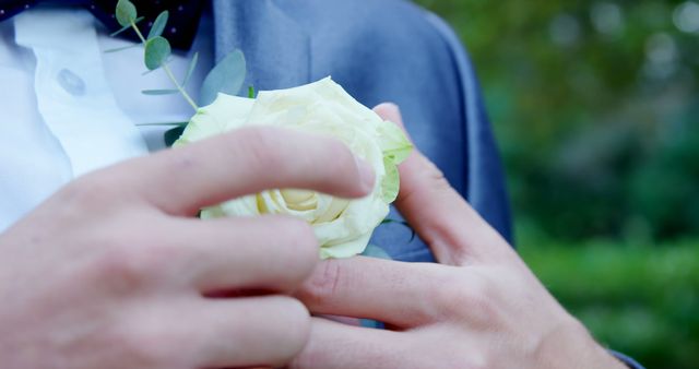 A close-up view of a Caucasian man's hands adjusting a white rose boutonniere on a suit jacket, with copy space. Boutonnieres are a traditional accessory for formal attire at weddings and proms.