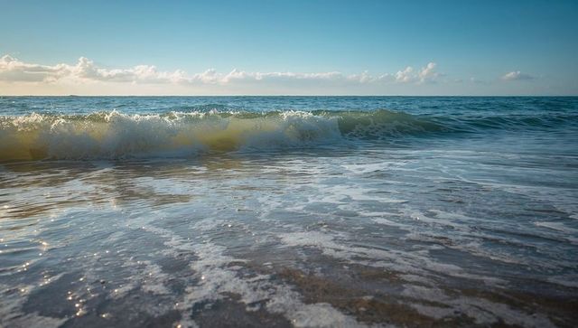 Sunlit ocean wave rolling and breaking onto sandy shore with white surf foam, calm horizon