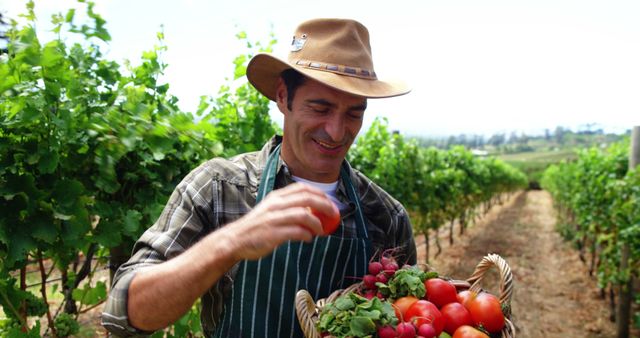 A middle-aged Latino farmer is smiling as he examines fresh produce in a vineyard, with copy space. His hat and apron suggest a dedication to his craft, reflecting the importance of agriculture and sustainable farming practices.