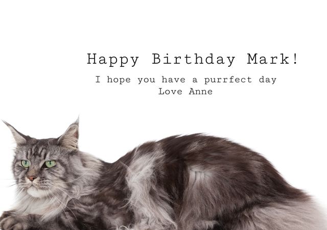 Maine Coon Cat Birthday Greeting Card for Cat Lovers - Download Free Stock Templates Pikwizard.com