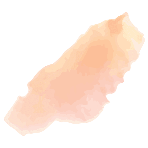 Abstract pink organic shape on transparent background