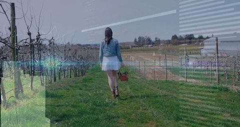 Woman Walking in Vineyard Carrying Basket Under Clear Sky