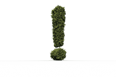 exclamation mark with green leaves on transparent background icon - Download Free Stock Videos Pikwizard.com