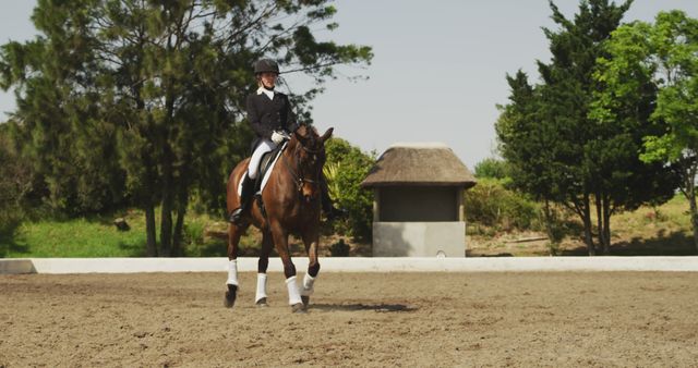 Equestrian rider competing in a dressage event, showcasing precision and harmony with horse. Ideal for themes on horse riding, competitive sports, outdoor activities, training, or equine events. Great visual aid for articles, advertisements, or educational content related to equestrian sports and horse care.