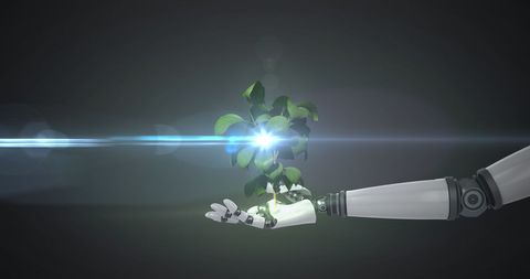 Robotic Hand Nurturing Plant with Light Beam on Dark Background - Download Free Stock Images Pikwizard.com