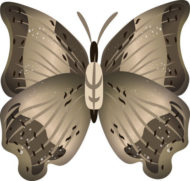 Digital Vector Illustration of Brown Moth on Transparent Background Isolated - Download Free Stock Videos Pikwizard.com