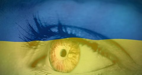 thoughtful gaze with blue and yellow symbolism highlighting youthful eye - Download Free Stock Images Pikwizard.com