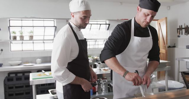 Two professional chefs working together in a commercial kitchen, demonstrating cooking skills and food preparation techniques. Ideal for use in articles or marketing materials related to culinary arts, restaurant kitchens, food industry, cooking classes, and team collaboration in a professional culinary setting.