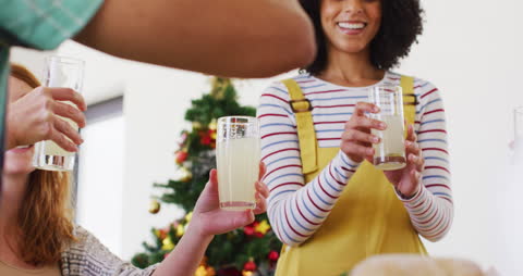 Diverse Friends Celebrating with Drinks Near Christmas Tree