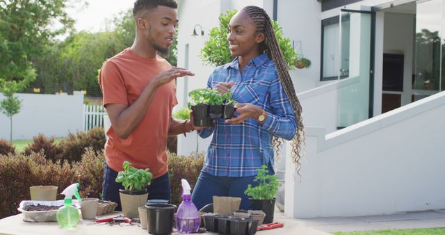 Happy african american couple planting herbs in backyard. Lifestyle, relationship, spending free time together concept.