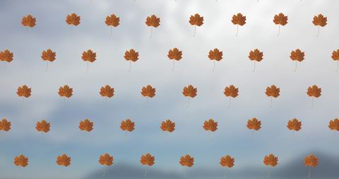autumn leaves seamless pattern on soft blue background - Download Free Stock Images Pikwizard.com