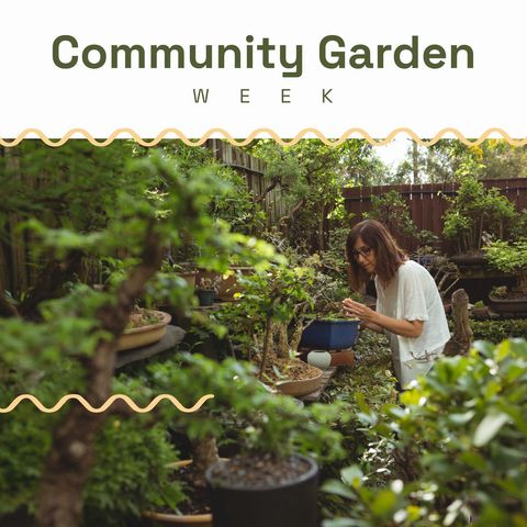 Woman Exploring Community Garden During Garden Week Celebration - Download Free Stock Templates Pikwizard.com
