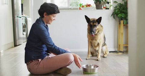 Woman Feeding German Shepherd in Bright Modern Kitchen