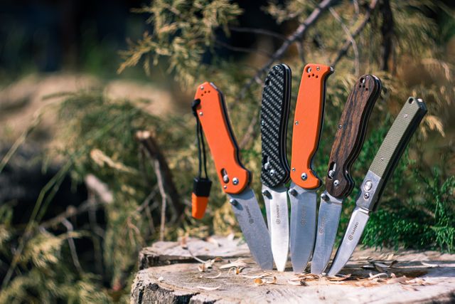 Various pocket knives with different handle materials displayed on a tree stump in a forest setting. Perfect for use in outdoor activity visuals, camping product advertisements, bushcraft tutorials, hiking gear reviews, and survival gear promotions.