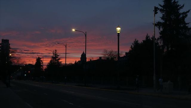 Sunset boulevard with lit streetlamps and silhouetted domed tower against colorful sky