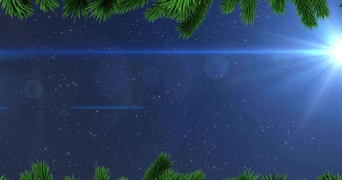 Pine branches framing deep starry night sky with bright starburst and lens flare
