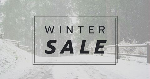 Winter Sale Promotion on Snowy Forest Background