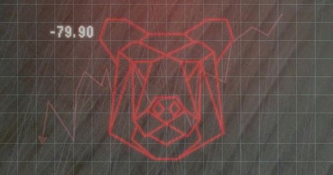 Displaying neon wireframe bear head on dark grid with jagged finance chart showing -79.90