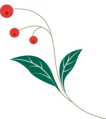 flat botanical sprig transparent background with green leaves red berries - Download Free Stock Videos Pikwizard.com