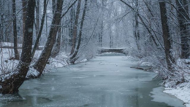 Winding frozen stream through snow-covered forest with ice patches and fallen log bridge